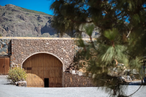 Bodega Las Tirajanas